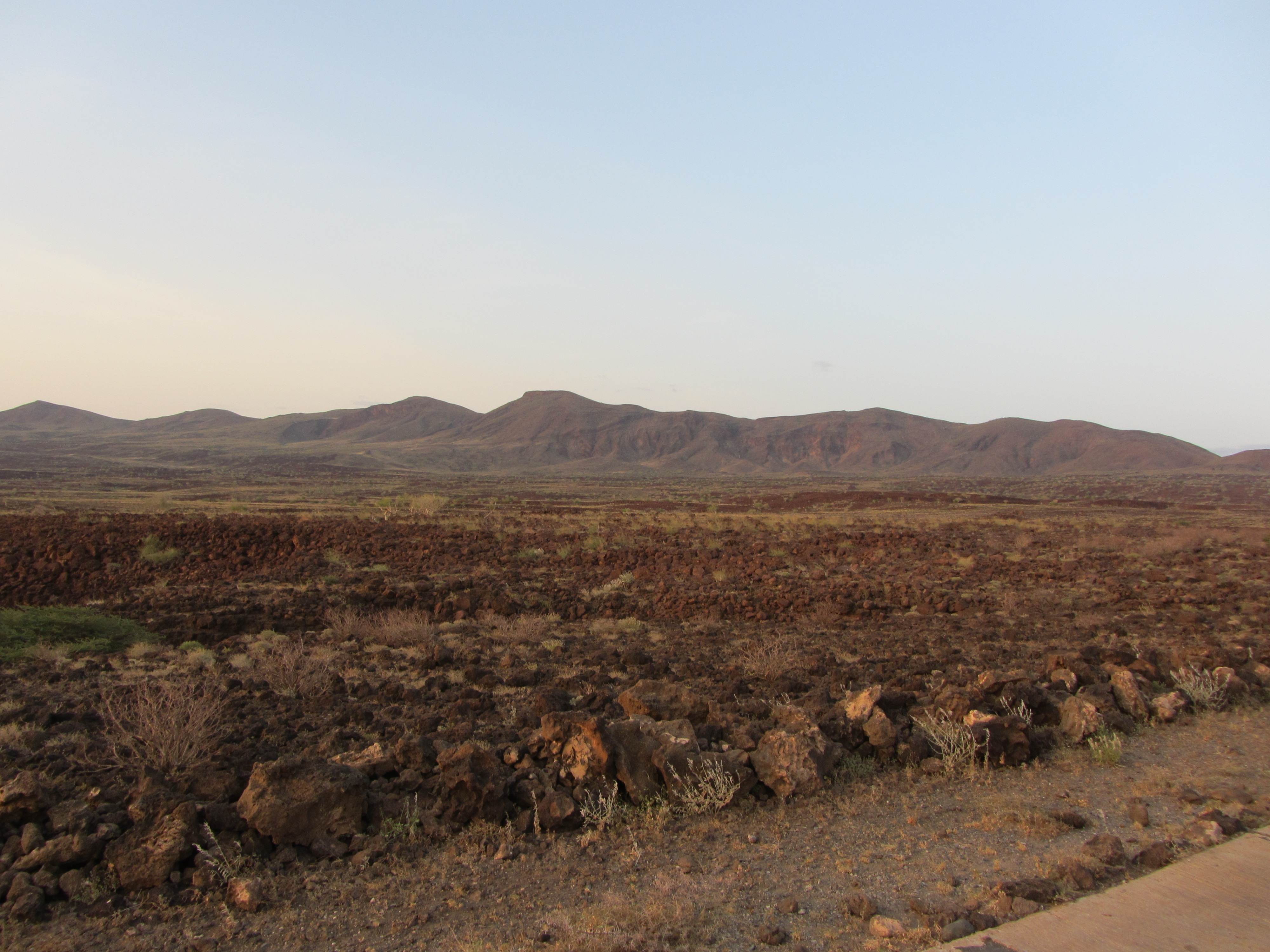 Koobi Fora landscape